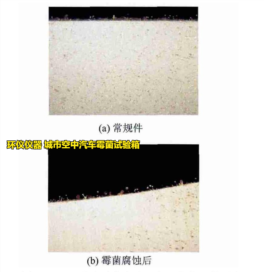 城市空中汽車霉菌試驗箱的試驗方法(圖3)