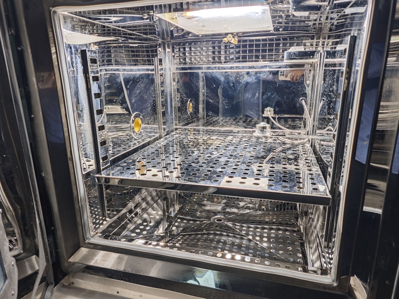 IMG_20250328_142456.jpg IMG_20250328_142456.jpg