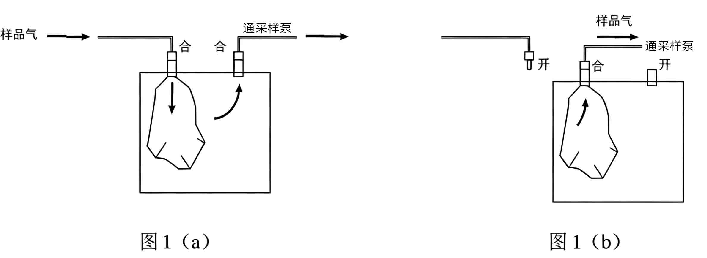 豆包.jpg